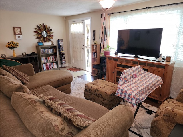 living room with a textured ceiling