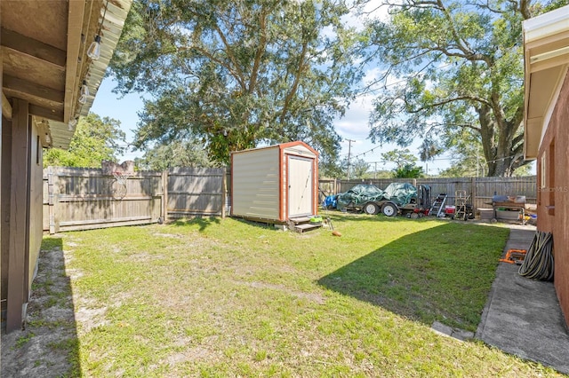 view of yard featuring a storage unit