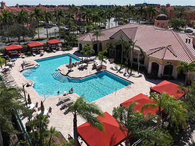 view of pool featuring a patio