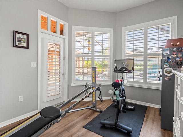 exercise room with dark hardwood / wood-style floors