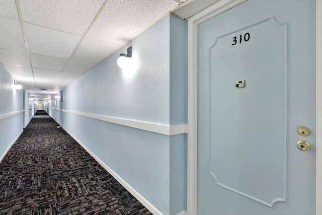 hall featuring carpet flooring and a paneled ceiling