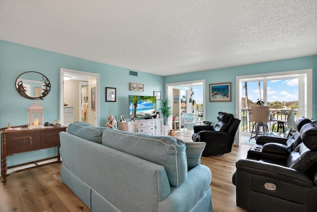 living room with a textured ceiling and hardwood / wood-style flooring