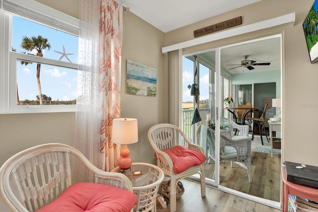 living area with light hardwood / wood-style floors, plenty of natural light, and ceiling fan