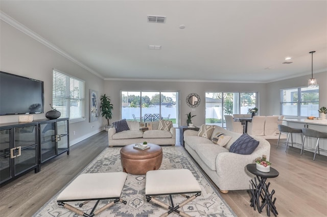 living room featuring a wealth of natural light, ornamental molding, and wood-type flooring