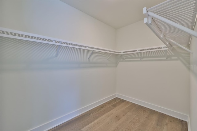 walk in closet featuring wood-type flooring