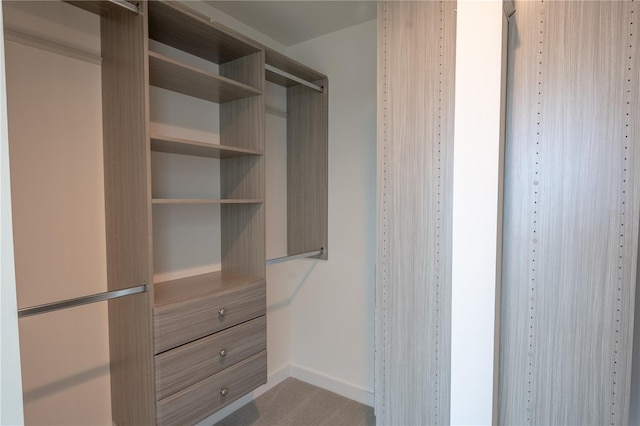 spacious closet featuring carpet