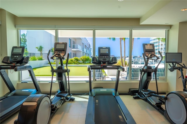 exercise room featuring a wealth of natural light