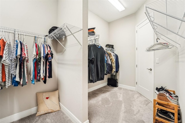 spacious closet featuring light colored carpet