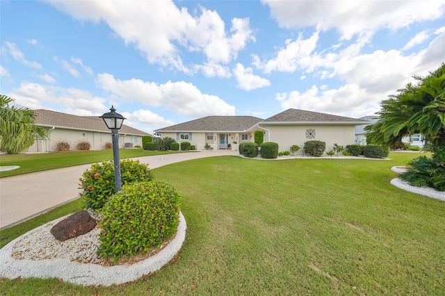 ranch-style house with a front yard