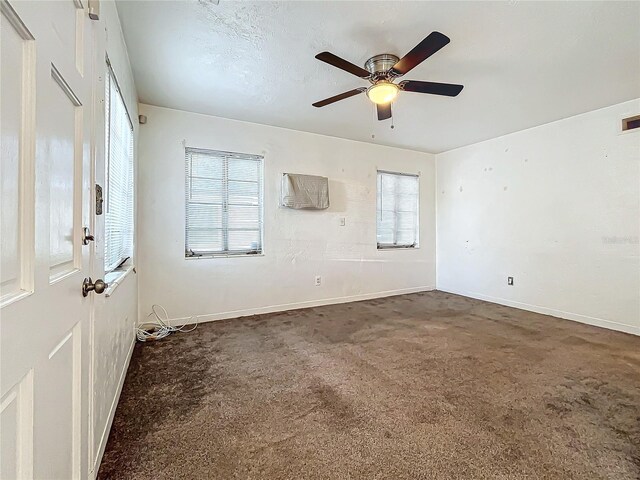 1318 Preston St S, Saint Petersburg, FL 33712 - photo 4