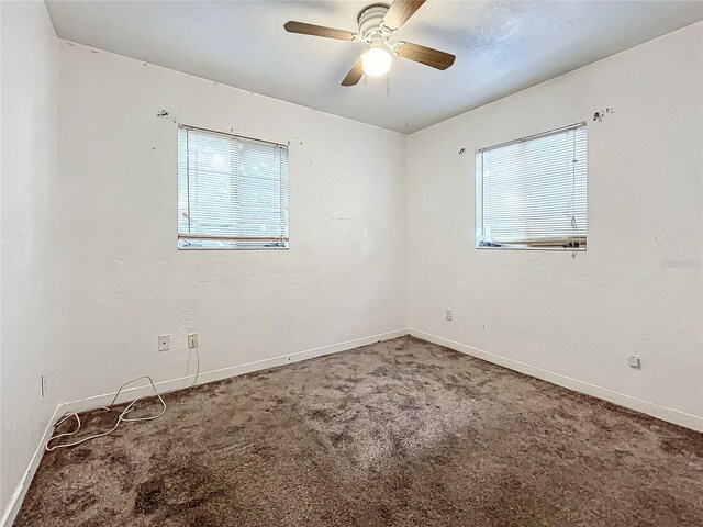1318 Preston St S, Saint Petersburg, FL 33712 - photo 12