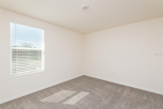 unfurnished room featuring carpet