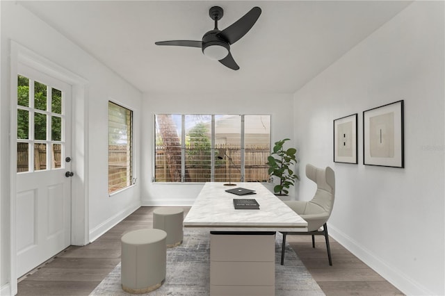 interior space featuring ceiling fan, plenty of natural light, and dark hardwood / wood-style floors