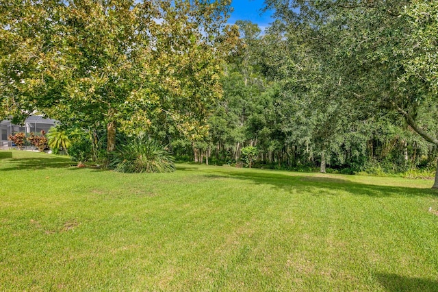 3320 Majestic View Dr, Lutz, FL 33558 - view of green lawn