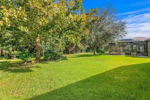 3320 Majestic View Dr, Lutz, FL 33558 - view of green lawn featuring glass enclosure