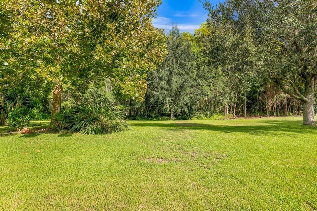 3320 Majestic View Dr, Lutz, FL 33558 - view of green lawn