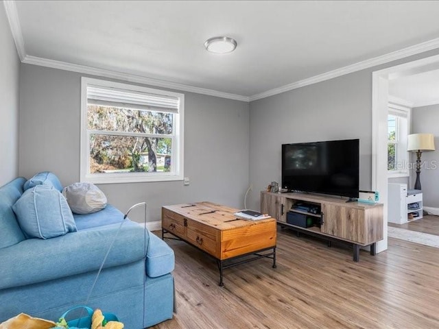 living room with hardwood / wood-style floors and crown molding