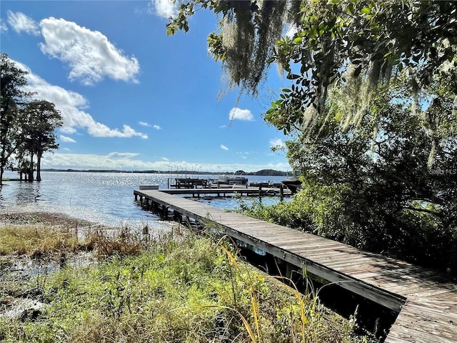 dock area featuring a water view