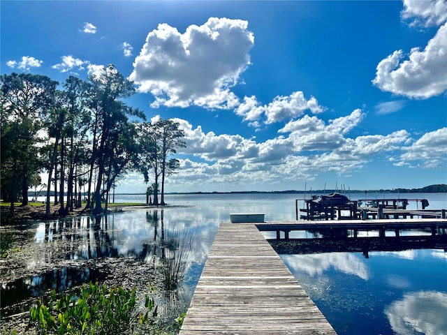 dock area with a water view