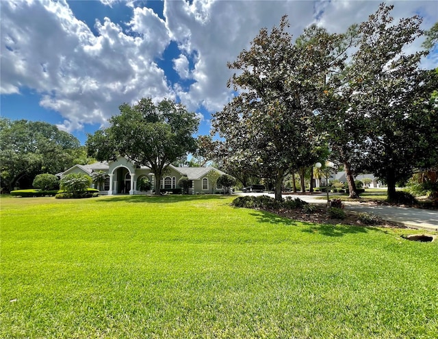 168 Rue Des Chateaux, Tarpon Springs, FL 34688 - view of grassy yard