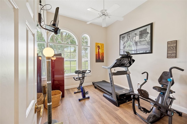 168 Rue Des Chateaux, Tarpon Springs, FL 34688 - workout room featuring wood finished floors and a ceiling fan