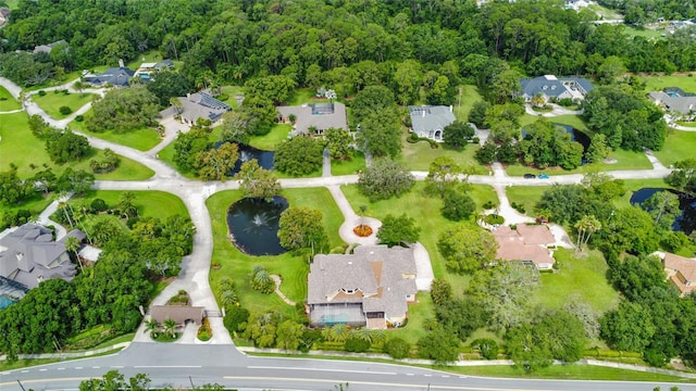 168 Rue Des Chateaux, Tarpon Springs, FL 34688 - aerial view of property's location with nearby suburban area