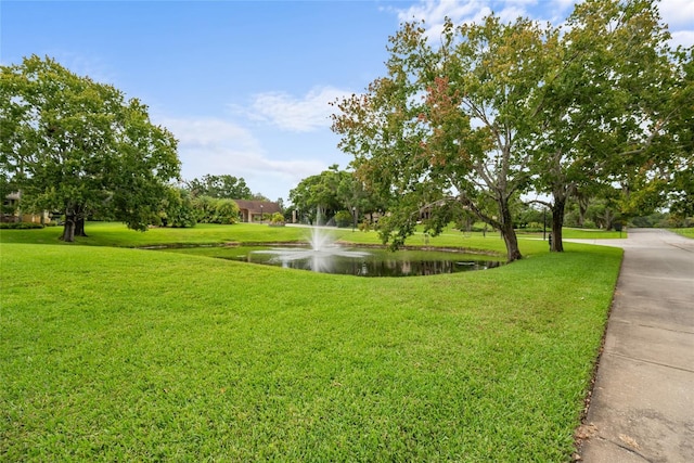 168 Rue Des Chateaux, Tarpon Springs, FL 34688 - view of property's community featuring a water view and a yard
