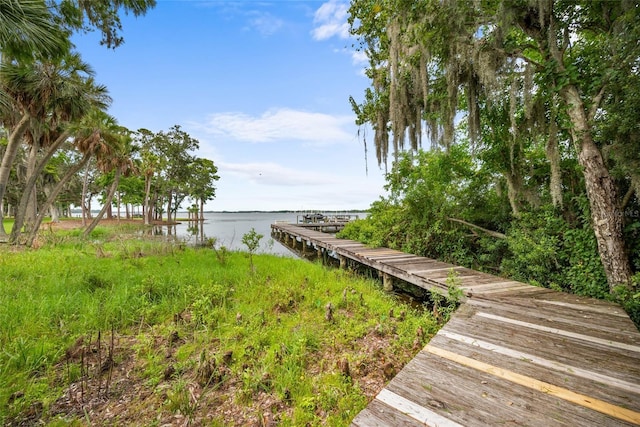 168 Rue Des Chateaux, Tarpon Springs, FL 34688 - dock featuring a water view