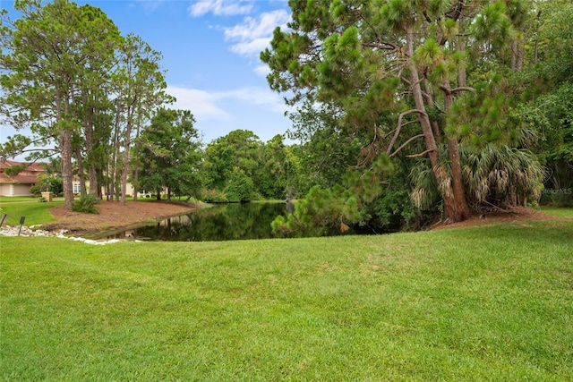 168 Rue Des Chateaux, Tarpon Springs, FL 34688 - view of green lawn with a water view