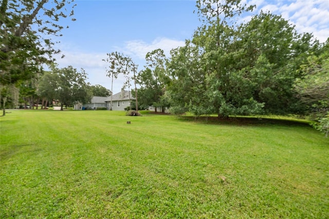 168 Rue Des Chateaux, Tarpon Springs, FL 34688 - view of green lawn
