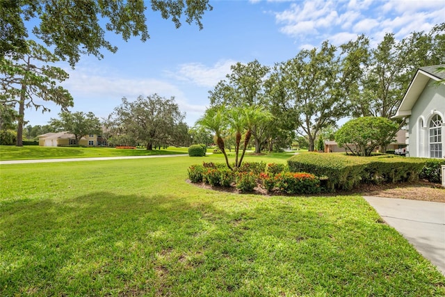 168 Rue Des Chateaux, Tarpon Springs, FL 34688 - view of grassy yard