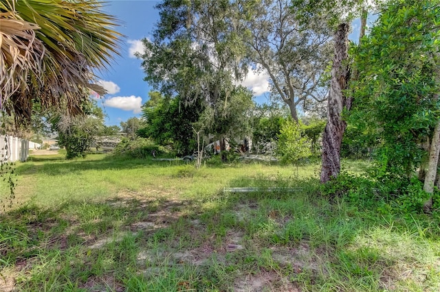 Listing photo 3 for 1308 E Lemon St, Tarpon Springs FL 34689