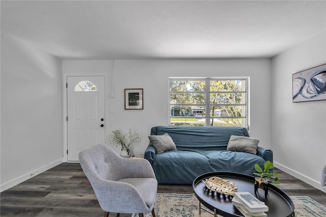 living room featuring dark wood-type flooring