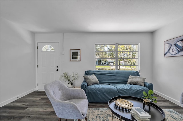 12020 82nd St E, Parrish, FL 34219 - living area featuring dark wood-type flooring and baseboards