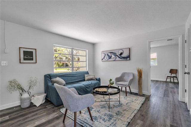 living room with dark hardwood / wood-style flooring