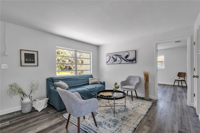 12020 82nd St E, Parrish, FL 34219 - living area featuring dark wood-style floors and baseboards
