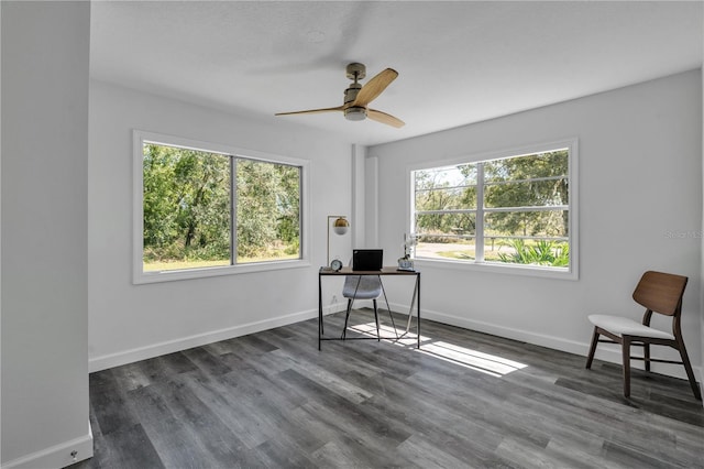 home office with ceiling fan and dark hardwood / wood-style flooring