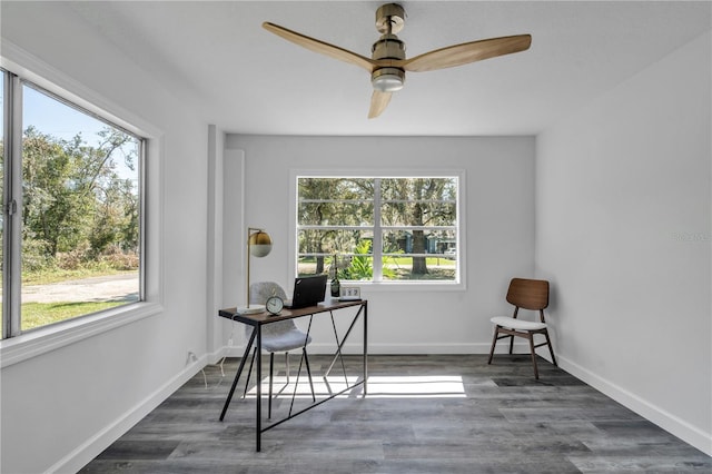 office space featuring dark wood-type flooring and ceiling fan