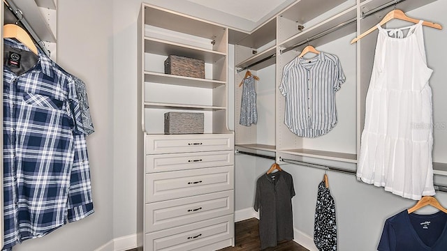 spacious closet with dark hardwood / wood-style flooring