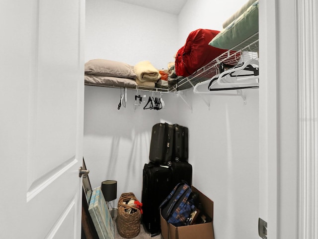 view of spacious closet