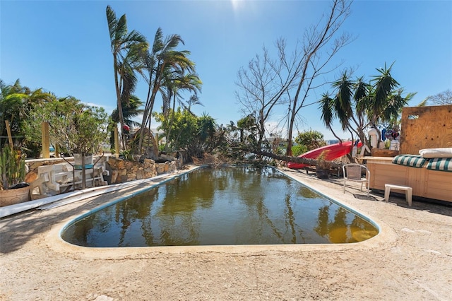14180 W Parsley Dr, Madeira Beach, FL 33708 - view of pool with a pool