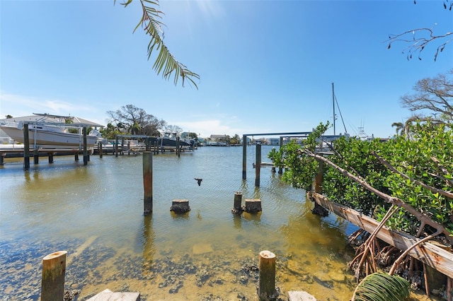 dock area featuring a water view