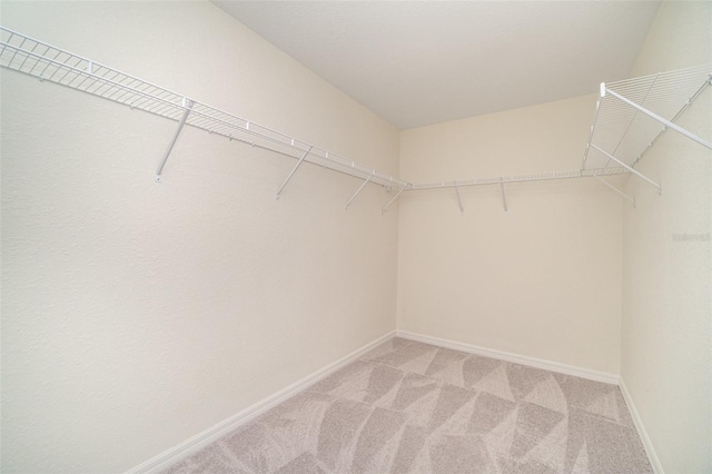 spacious closet featuring light colored carpet