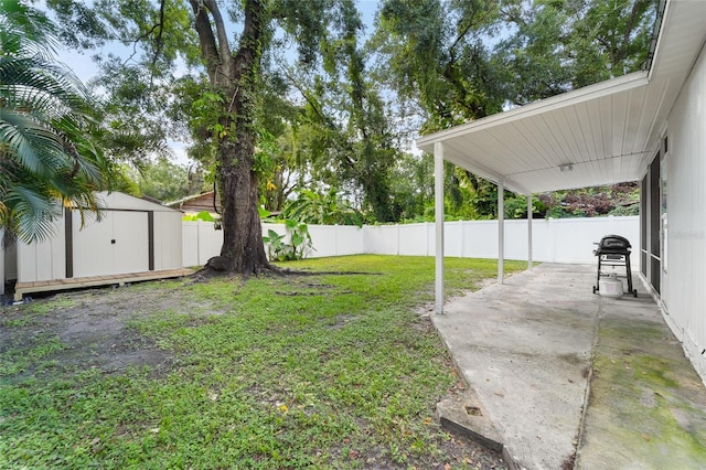 view of yard with a storage unit and a patio area