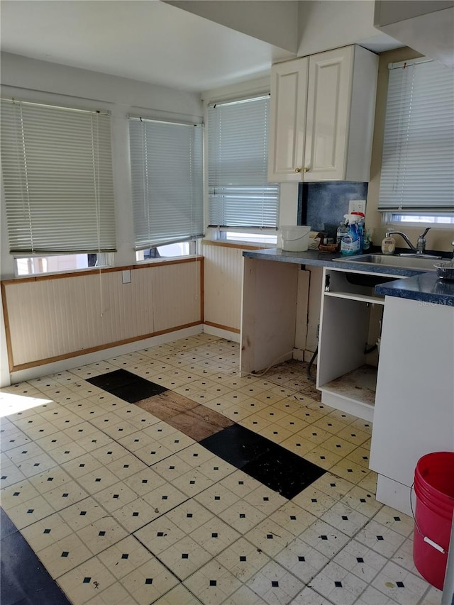 kitchen with a wealth of natural light and sink