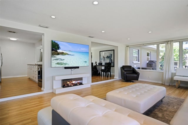 living room featuring hardwood / wood-style floors