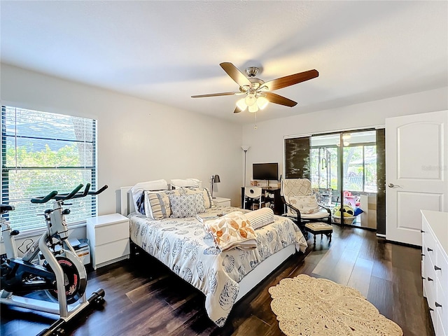 bedroom with ceiling fan, multiple windows, and dark hardwood / wood-style floors