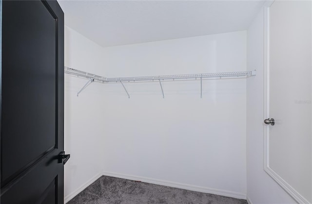 walk in closet with dark colored carpet