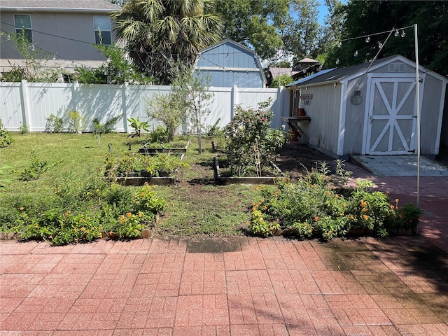 view of yard featuring a patio and a storage unit