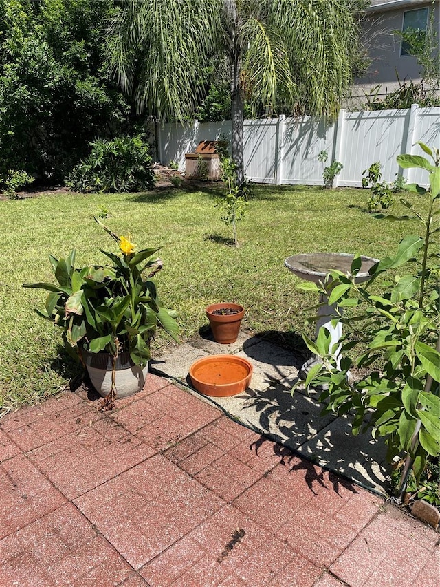 view of yard featuring a patio area